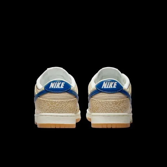 Nike Dunk Montreal Bagel DZ4853-200